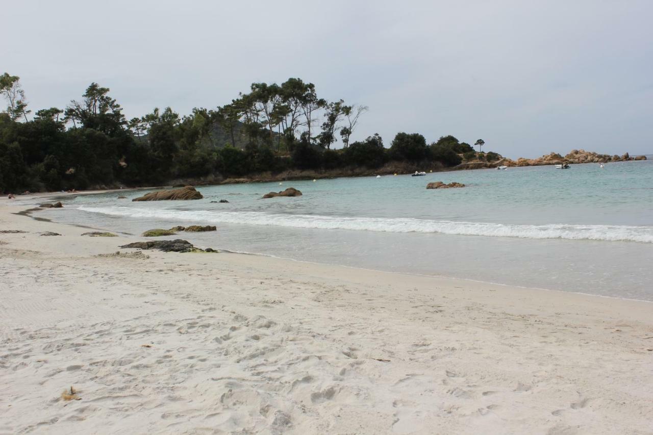 Apartment Le Parc Imperial Ajaccio (Corsica)